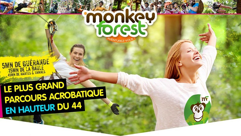 OUVERT - MONKEY FOREST AVENTURES & LOISIRS