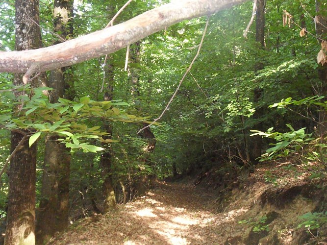 CHAMBRES D'HOTES LA GASSELINAIS