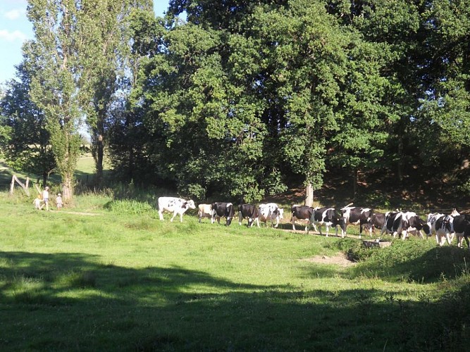 CHAMBRES D'HOTES LA GASSELINAIS