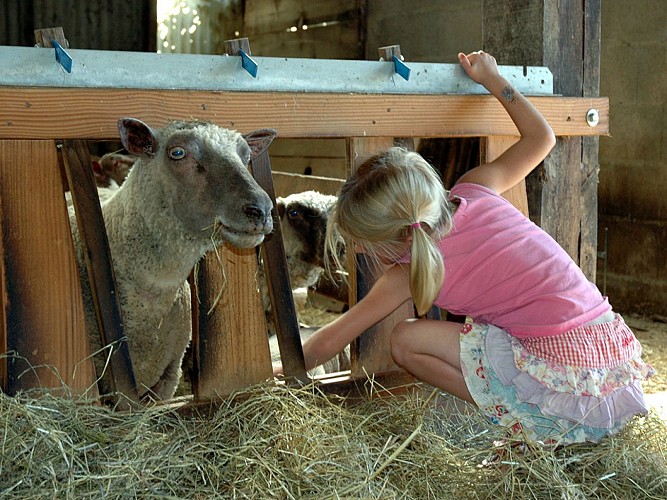 FERME DE LA GRANGE PERCHÉE