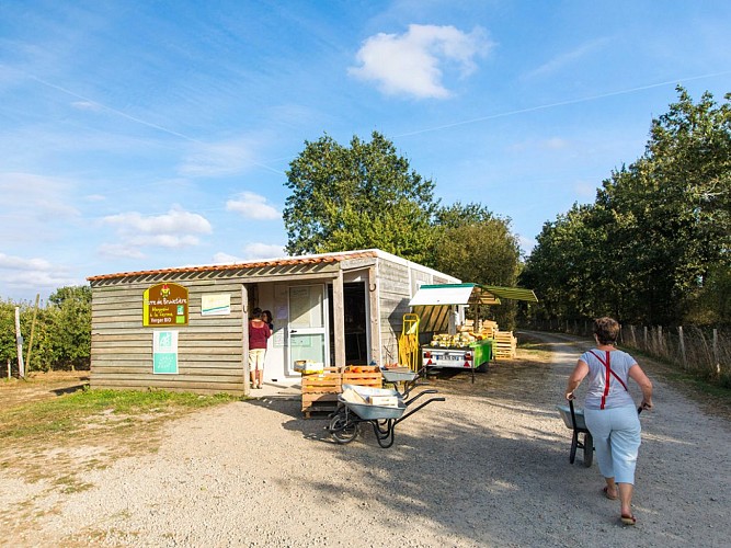 LES VERGERS DE LA BRUNETIERE