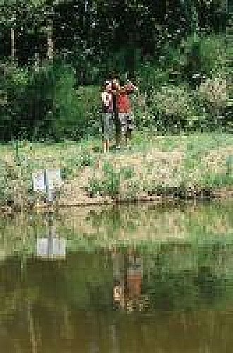 Pêche aux étangs de Sandun