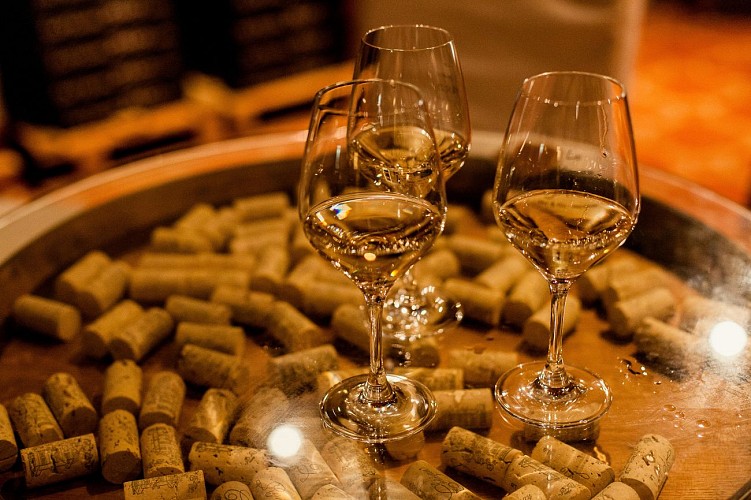 Vignoble Château de Rosnay, Maison Jard