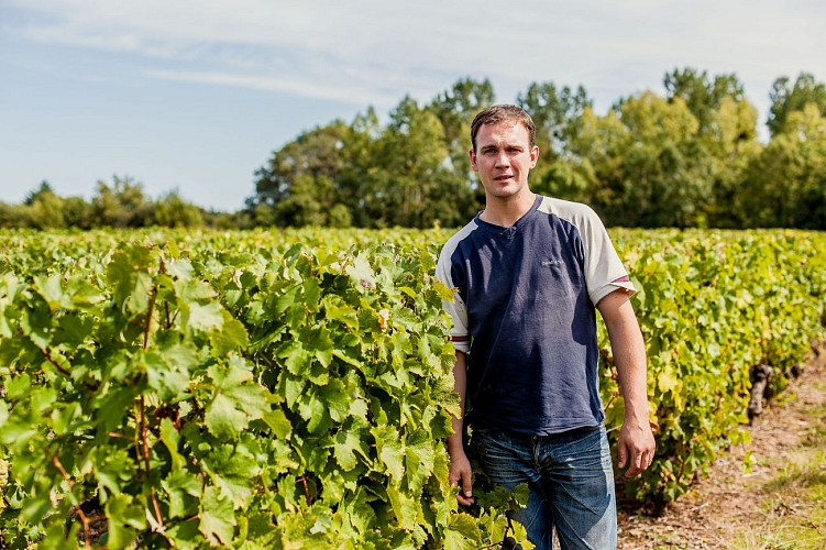 Vignoble Château de Rosnay, Maison Jard