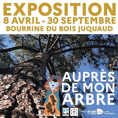 La Bourrine du Bois Juquaud