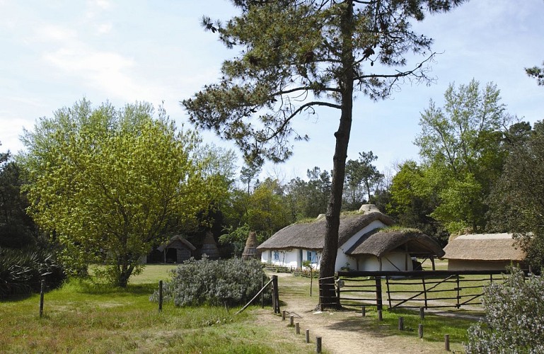 La Bourrine du Bois Juquaud