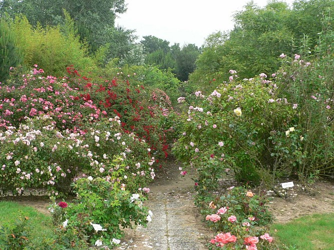 LA ROSERAIE DE VENDEE