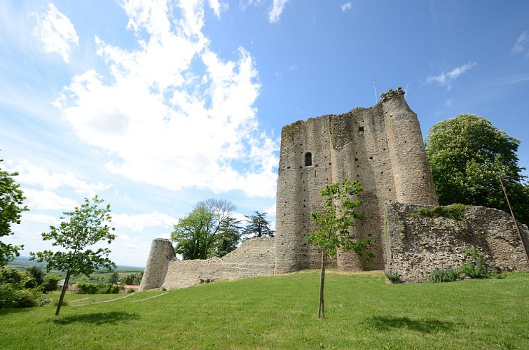 CHÂTEAU DE POUZAUGES