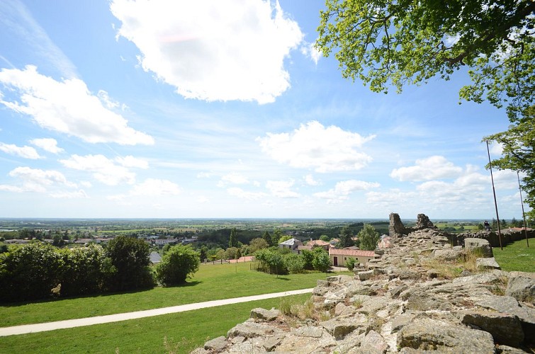 CHÂTEAU DE POUZAUGES