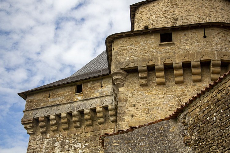 Le Château de Sigournais