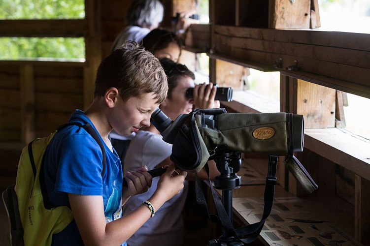 La Cité des Oiseaux