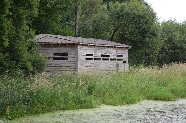 La Cité des Oiseaux