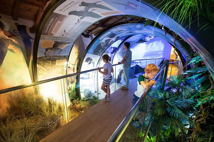 La Cité des Oiseaux