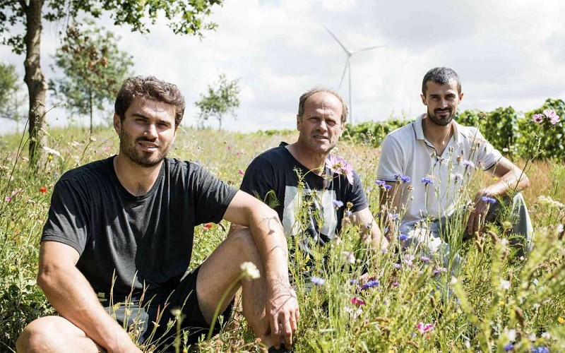 Domaine Saint Nicolas