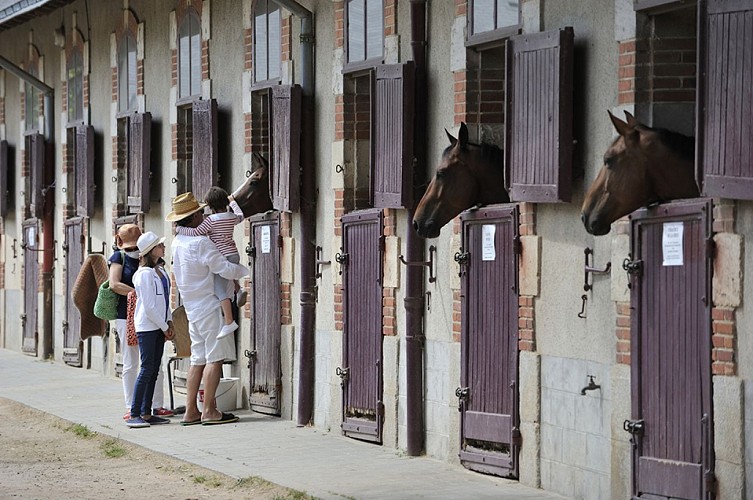 Haras de la Vendée