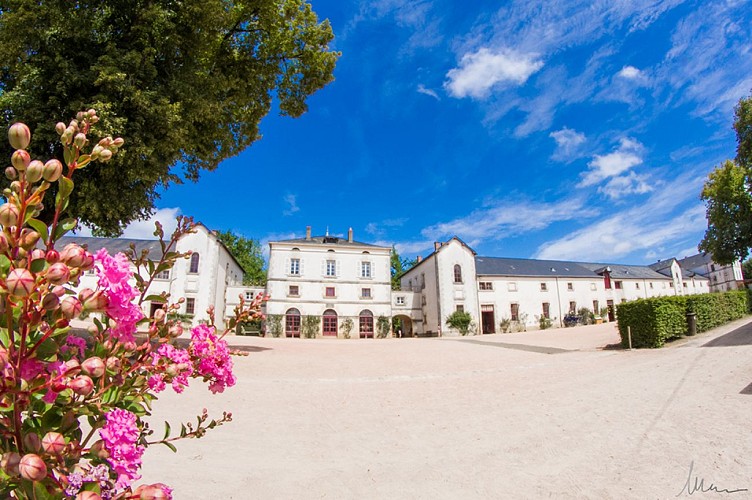 Haras de la Vendée