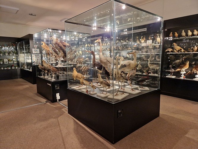 Musée ornithologique Charles Payraudeau