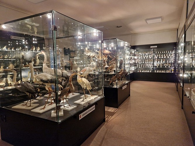 Musée ornithologique Charles Payraudeau