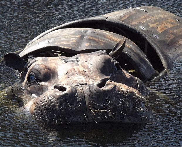 Les Animaux de la Place