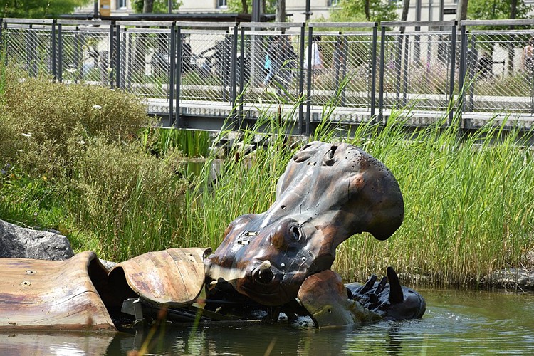 Les Animaux de la Place