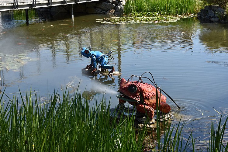 Les Animaux de la Place