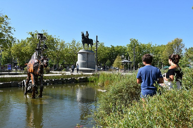 Les Animaux de la Place