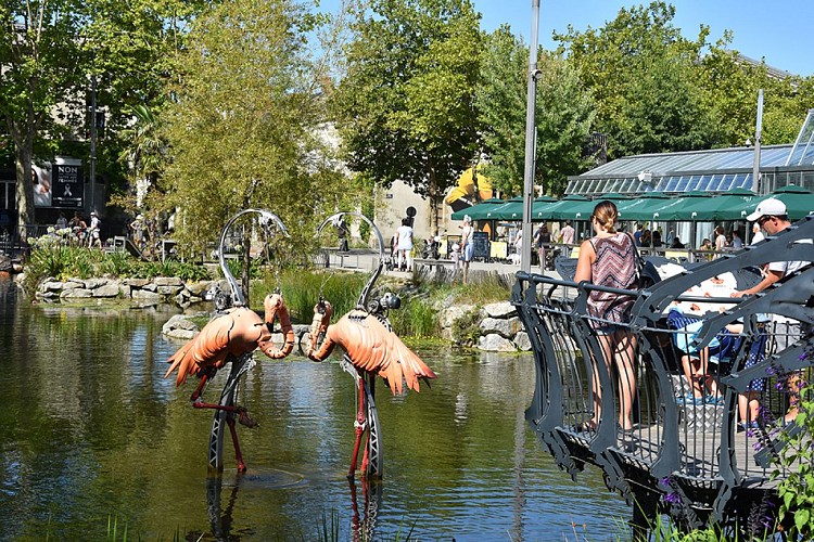 Les Animaux de la Place