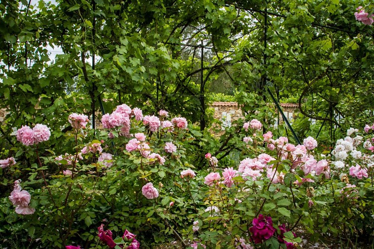 Musée National Clemenceau-De Lattre : La maison natale de Jean De Lattre, Maréchal de France