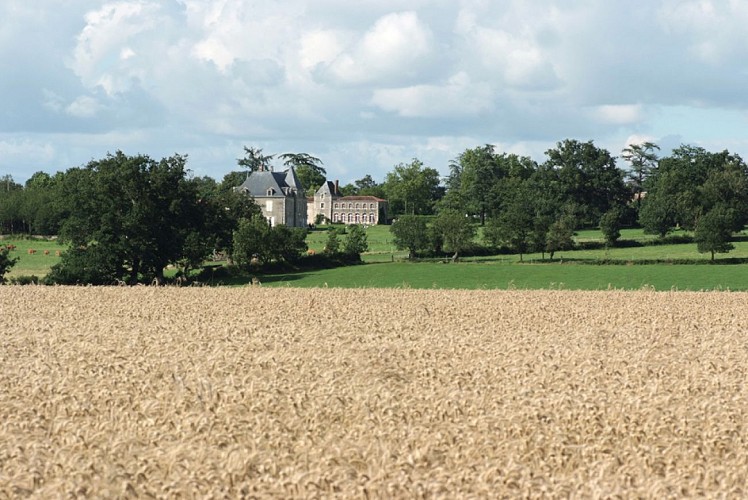 MUSÉE REGIONAL D'HISTOIRE PROTESTANTE - CHÂTEAU DU BOIS TIFFRAIS