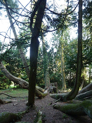 PARC DU CHÂTEAU DE LA FLOCELLIÈRE