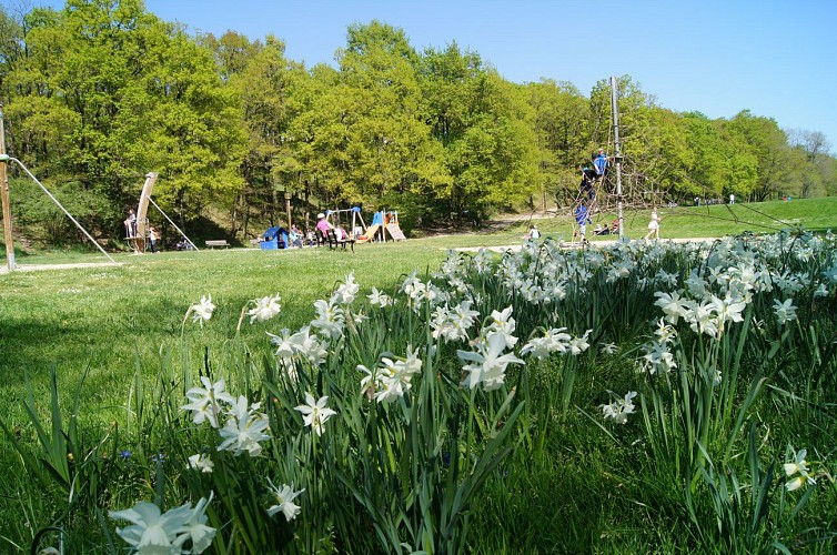 PARC DU MOULIN À ELISE