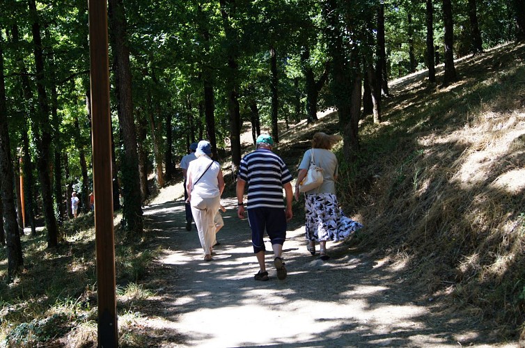 PARC DU MOULIN À ELISE