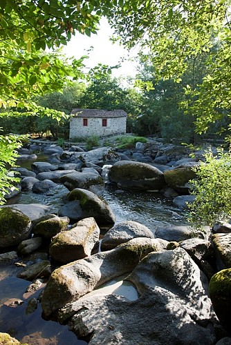 LE MOULIN A FOULON