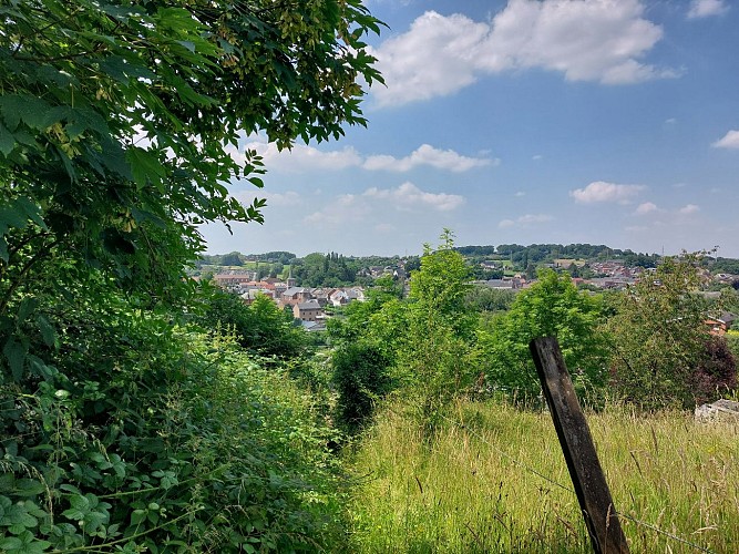 Calvaire Falisolle 26-06-24. (4)