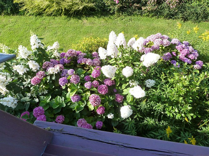 CHAMBRES MEUBLEES "ÉCRIN DE VERDURE"