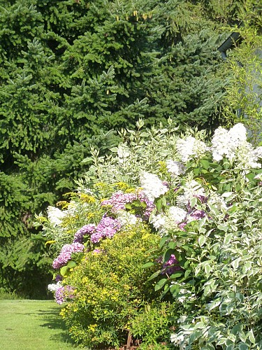 CHAMBRES MEUBLEES "ÉCRIN DE VERDURE"