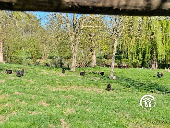 GÎTE DU HÉRISSON, 6 PERSONNES