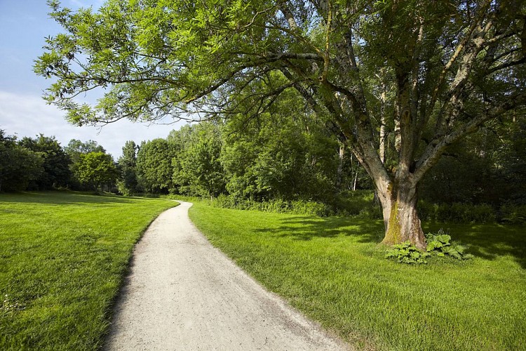 Vallée verte de l'Yon