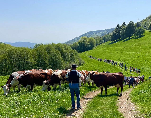 Farmhouse inn Lochberg