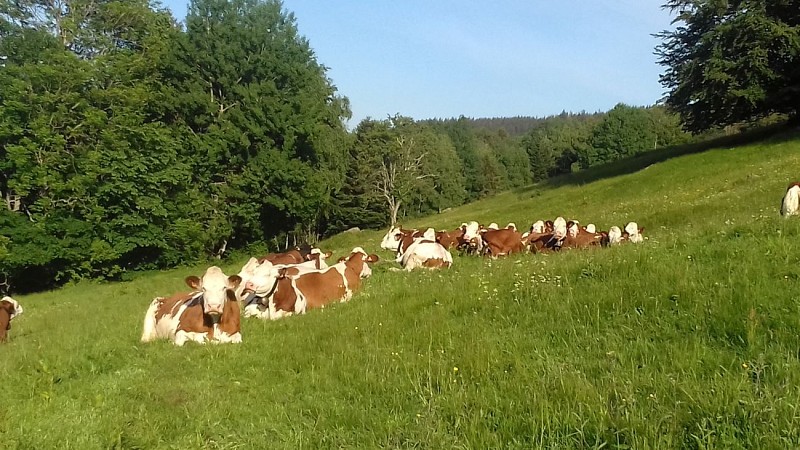 Ferme auberge du Lochberg