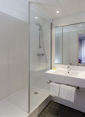 Ibis Styles Grenoble Centre Gare