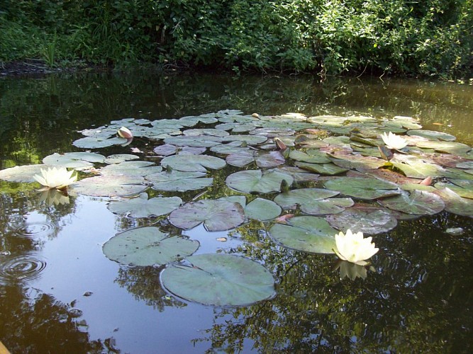 BASE DE CANOE KAYAK DE GETIGNE
