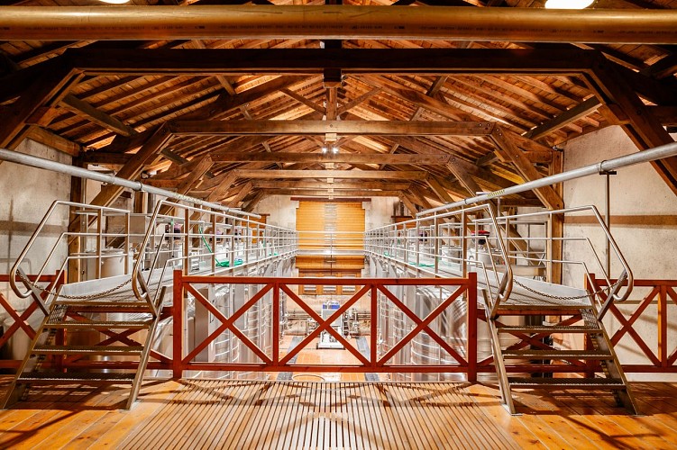 WILLIAM LACOSTE -04-06-2024 (54)