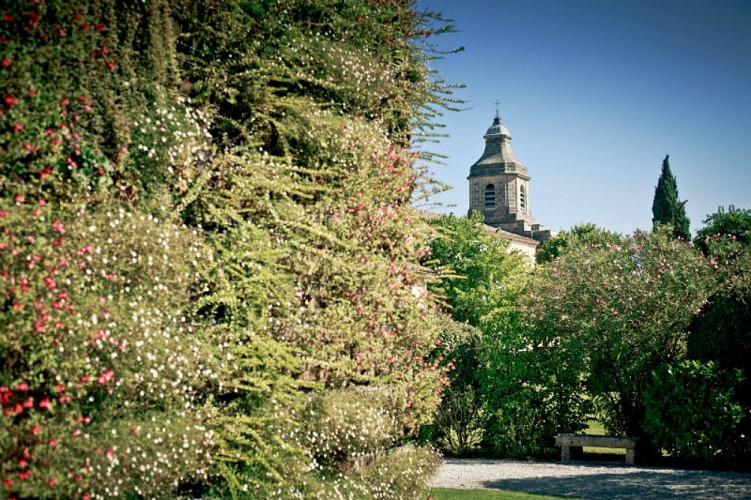 Mur-vegetal-et-eglise-TaylorYandell-800-X-600