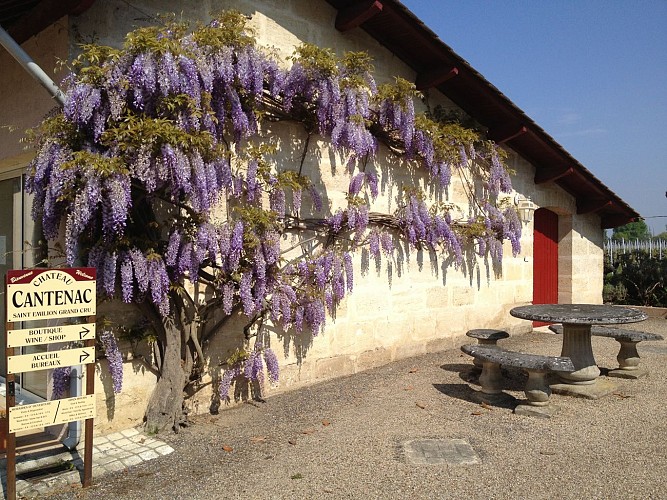 Cantenac 1