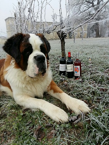 20170104_104630_resized