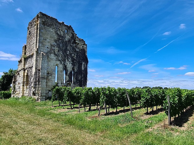 VIGNOBLES GABARD - Queynac