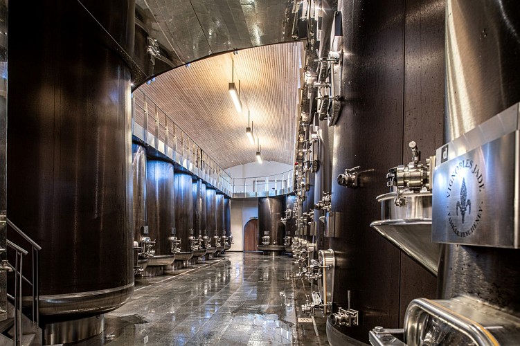 Château Fleur de Lisse - cuvier - François Blazquez