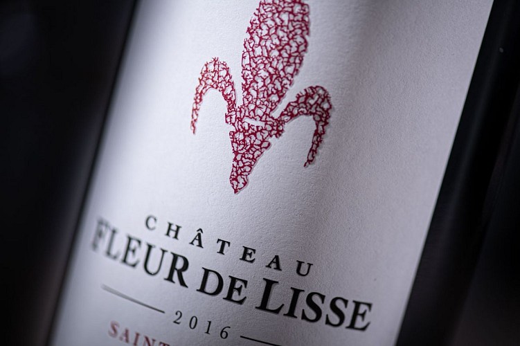 Chateau Fleur de Lisse