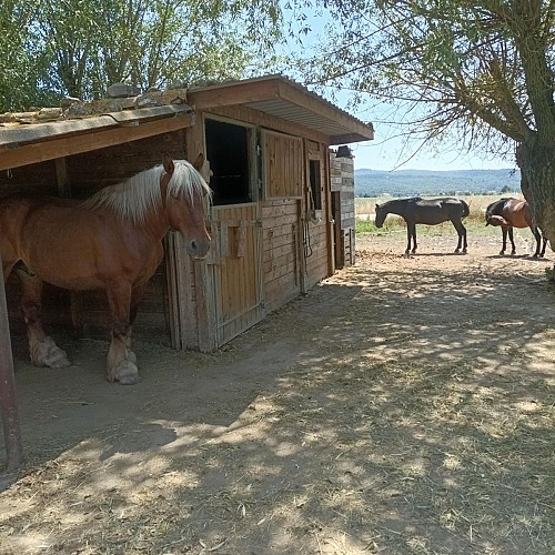 Chambre d'hôtes Au Plant de la Saulce